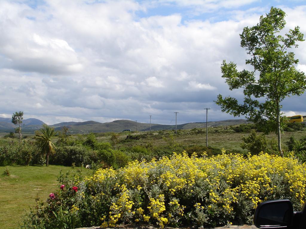 Ben Breen House B&B Clifden Exterior foto